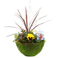 Hanging Seasonal Bedding Feather Moss Basket 14 Inches - Winter 